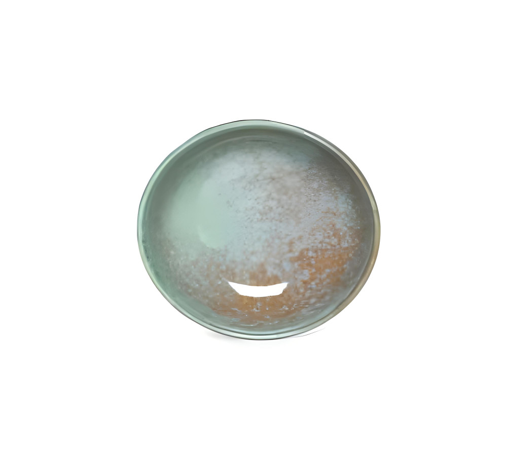 Serving Bowl Sea Green Colour