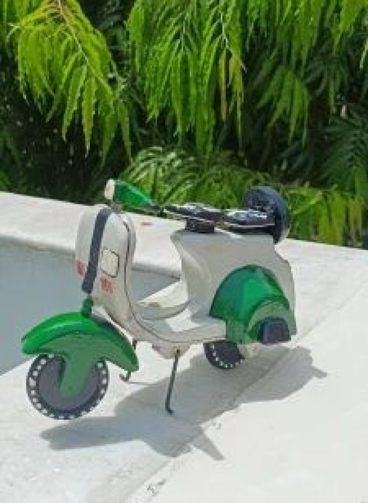 Colourful Wooden Scooter