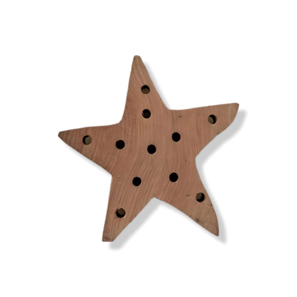 Star Shape Pendant